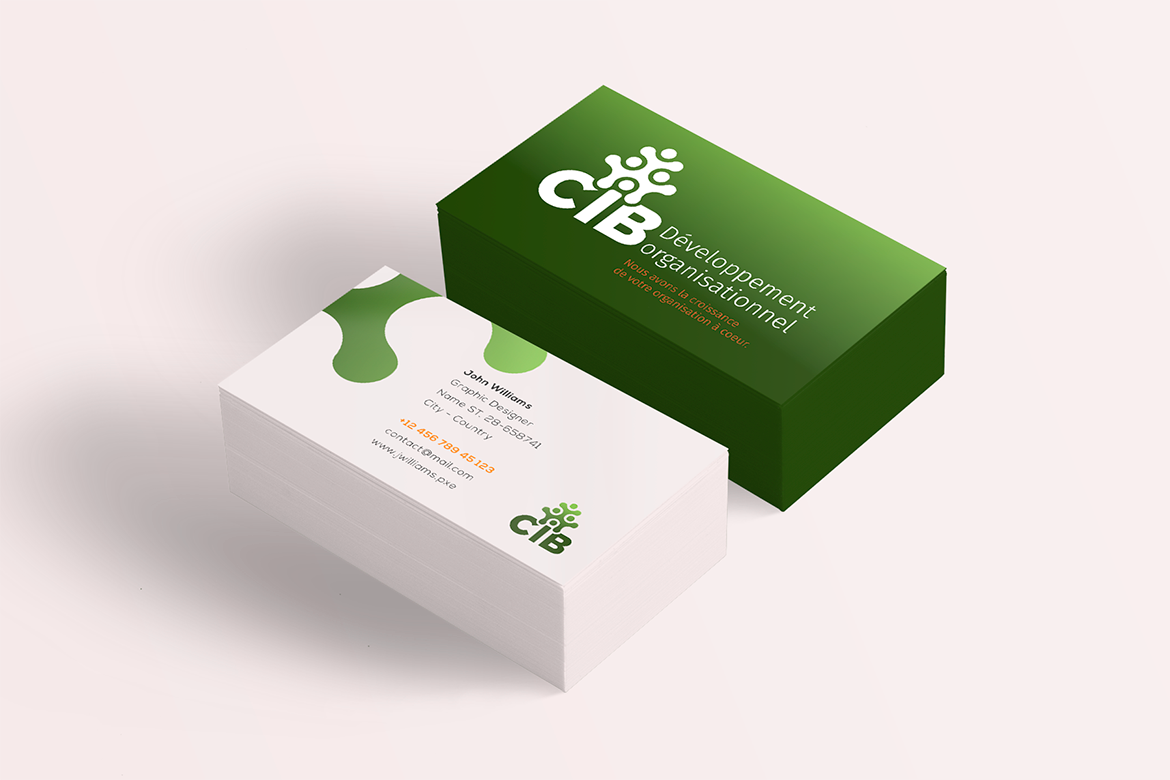 CIB Développement Organisationnel – Image de marque et site Web